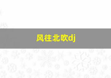 风往北吹dj