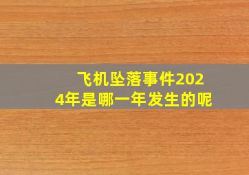 飞机坠落事件2024年是哪一年发生的呢