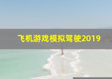 飞机游戏模拟驾驶2019