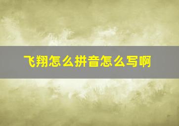 飞翔怎么拼音怎么写啊