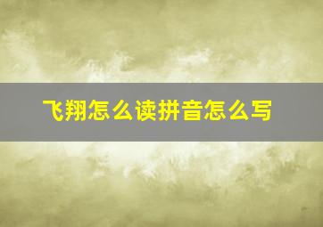 飞翔怎么读拼音怎么写