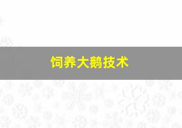 饲养大鹅技术