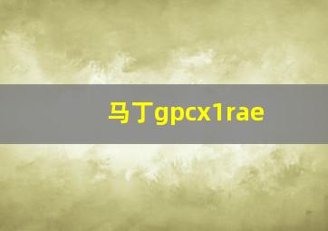 马丁gpcx1rae