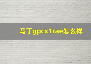 马丁gpcx1rae怎么样