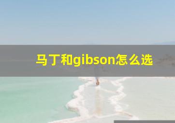 马丁和gibson怎么选