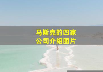 马斯克的四家公司介绍图片