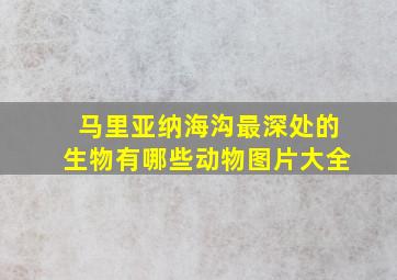 马里亚纳海沟最深处的生物有哪些动物图片大全