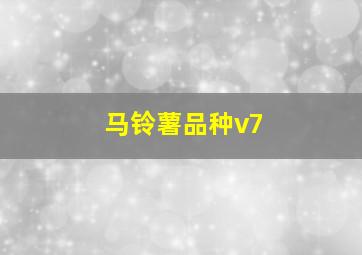 马铃薯品种v7