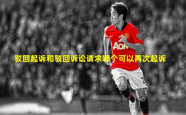驳回起诉和驳回诉讼请求哪个可以再次起诉
