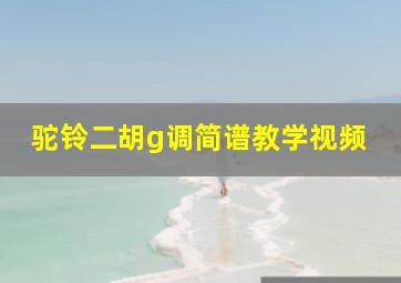 驼铃二胡g调简谱教学视频