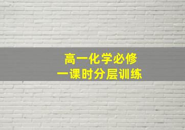 高一化学必修一课时分层训练