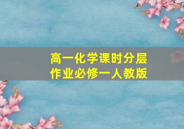 高一化学课时分层作业必修一人教版