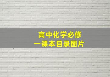 高中化学必修一课本目录图片