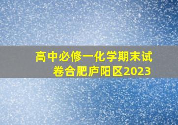 高中必修一化学期末试卷合肥庐阳区2023