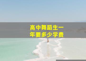 高中舞蹈生一年要多少学费