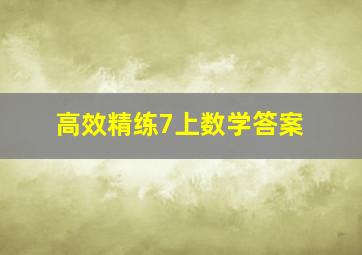 高效精练7上数学答案