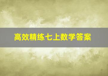 高效精练七上数学答案