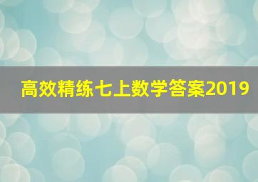 高效精练七上数学答案2019