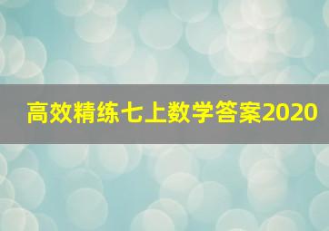 高效精练七上数学答案2020