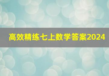 高效精练七上数学答案2024