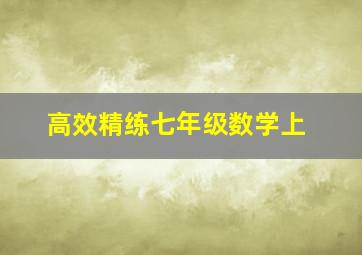 高效精练七年级数学上