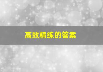 高效精练的答案