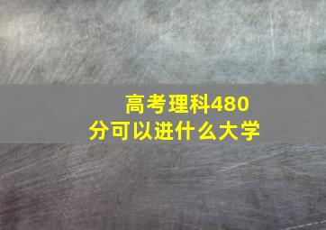 高考理科480分可以进什么大学