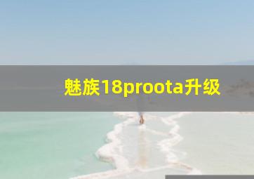 魅族18proota升级