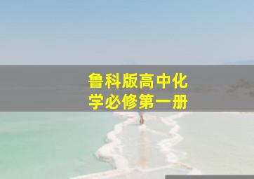 鲁科版高中化学必修第一册