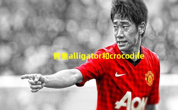 鳄鱼alligator和crocodile