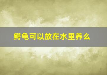 鳄龟可以放在水里养么