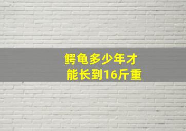 鳄龟多少年才能长到16斤重