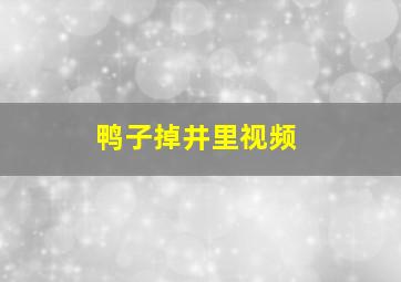 鸭子掉井里视频