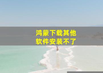 鸿蒙下载其他软件安装不了