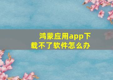 鸿蒙应用app下载不了软件怎么办