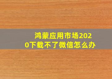 鸿蒙应用市场2020下载不了微信怎么办