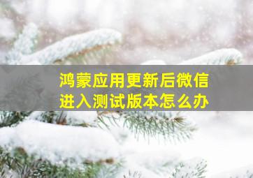 鸿蒙应用更新后微信进入测试版本怎么办