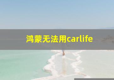 鸿蒙无法用carlife