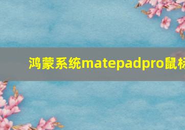 鸿蒙系统matepadpro鼠标