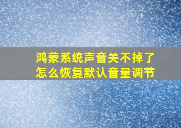 鸿蒙系统声音关不掉了怎么恢复默认音量调节