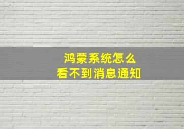 鸿蒙系统怎么看不到消息通知