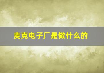 麦克电子厂是做什么的