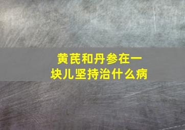 黄芪和丹参在一块儿坚持治什么病