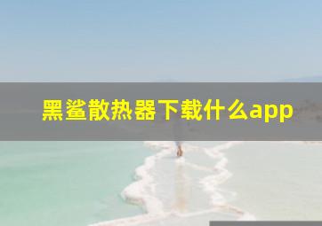 黑鲨散热器下载什么app