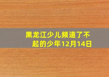 黑龙江少儿频道了不起的少年12月14日