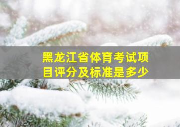 黑龙江省体育考试项目评分及标准是多少