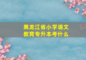 黑龙江省小学语文教育专升本考什么