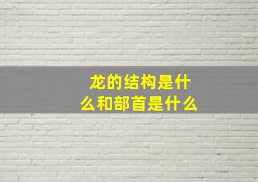 龙的结构是什么和部首是什么