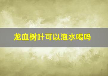 龙血树叶可以泡水喝吗