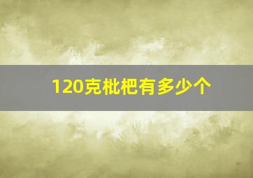 120克枇杷有多少个